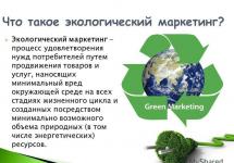 Marketing środowiskowy: wymagania wstępne i główne cechy Wykłady z zakresu marketingu ekologicznego i doradztwa