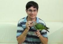 Ce să faci dacă un animal de companie cu pene se teme de proprietarul său: cum să îmbunătățești relația cu un papagal