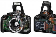 Какой фотоаппарат начинающему фотографу лучше купить на начальном этапе?