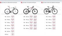 How to choose the right bike for an adult