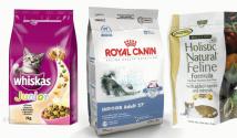 How to open a pet food store